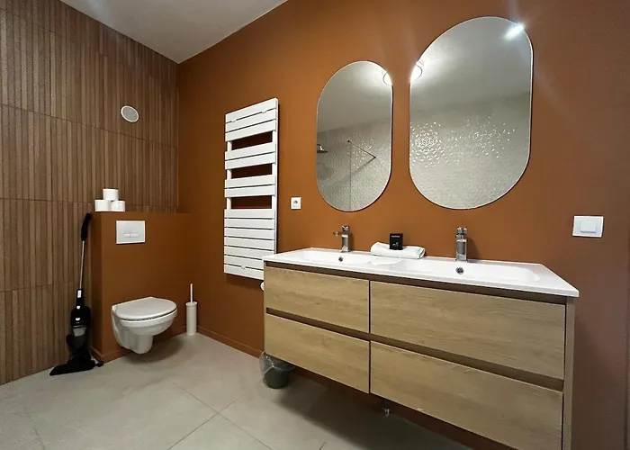 E1 Reton Magnifique T3 Rdc Terrasse Et Jacuzzi Epernay